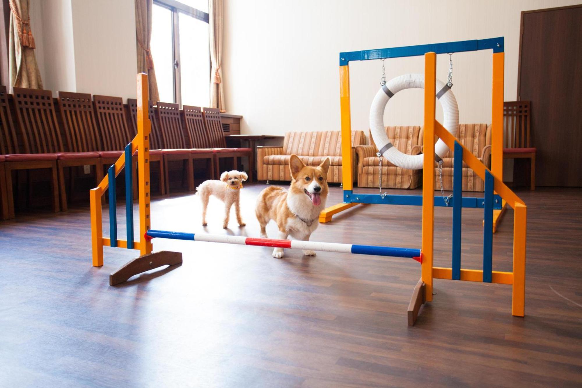 Izumigo Takayama Dog Paradise Hotel Kültér fotó